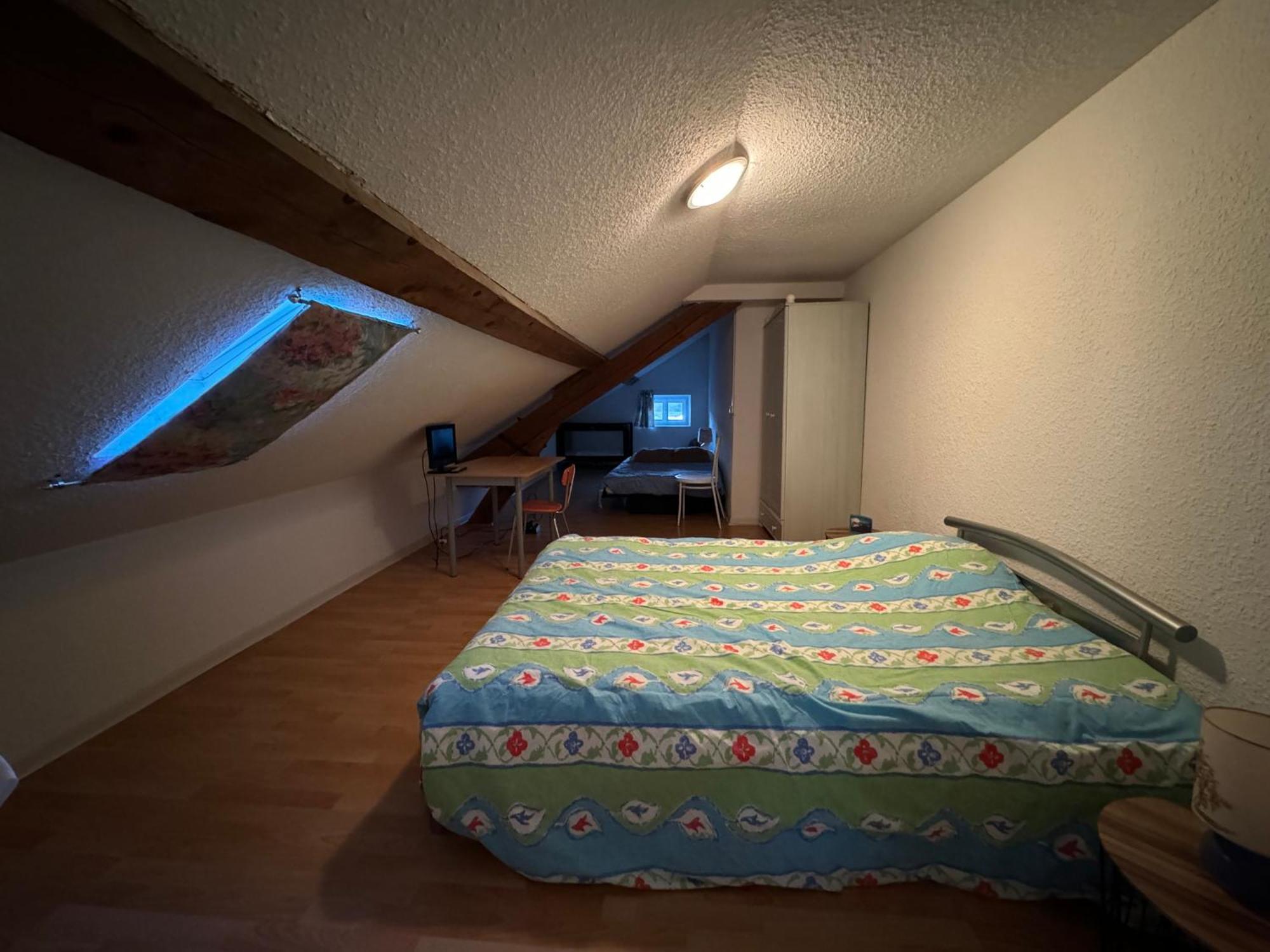 Appartement Logis Balneen Bains-les-Bains Dış mekan fotoğraf